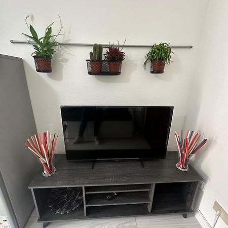 B&B Luna Rosa Pisa Ngoại thất bức ảnh