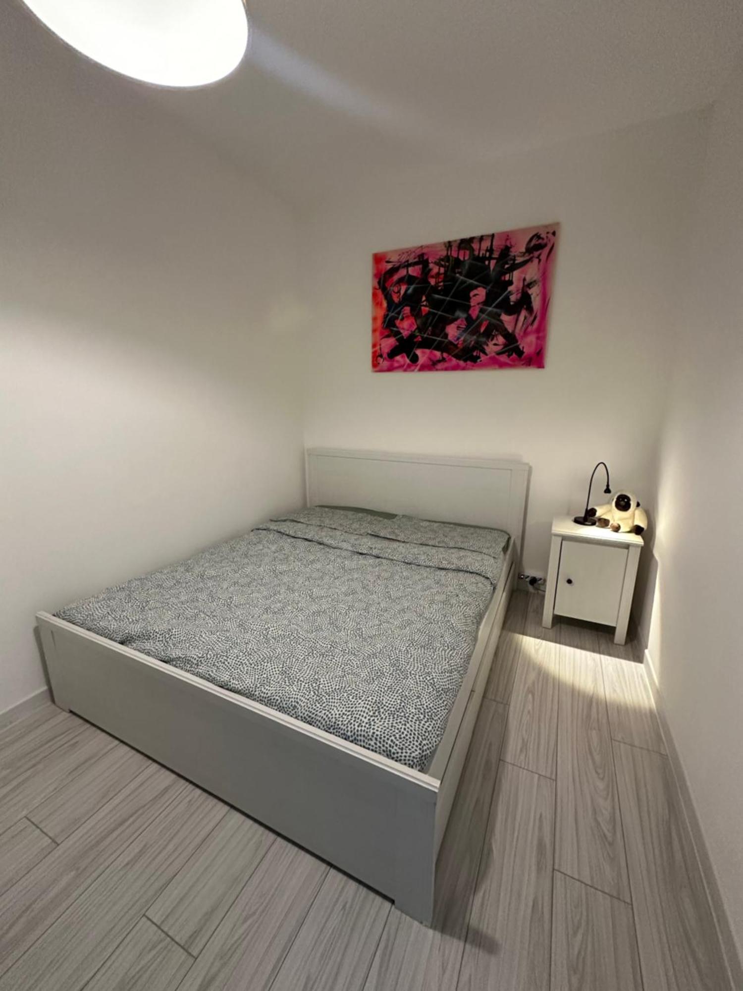 B&B Luna Rosa Pisa Ngoại thất bức ảnh